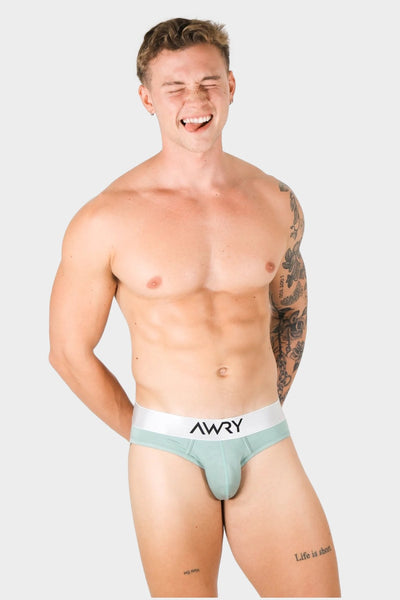 Briefs - AWRY