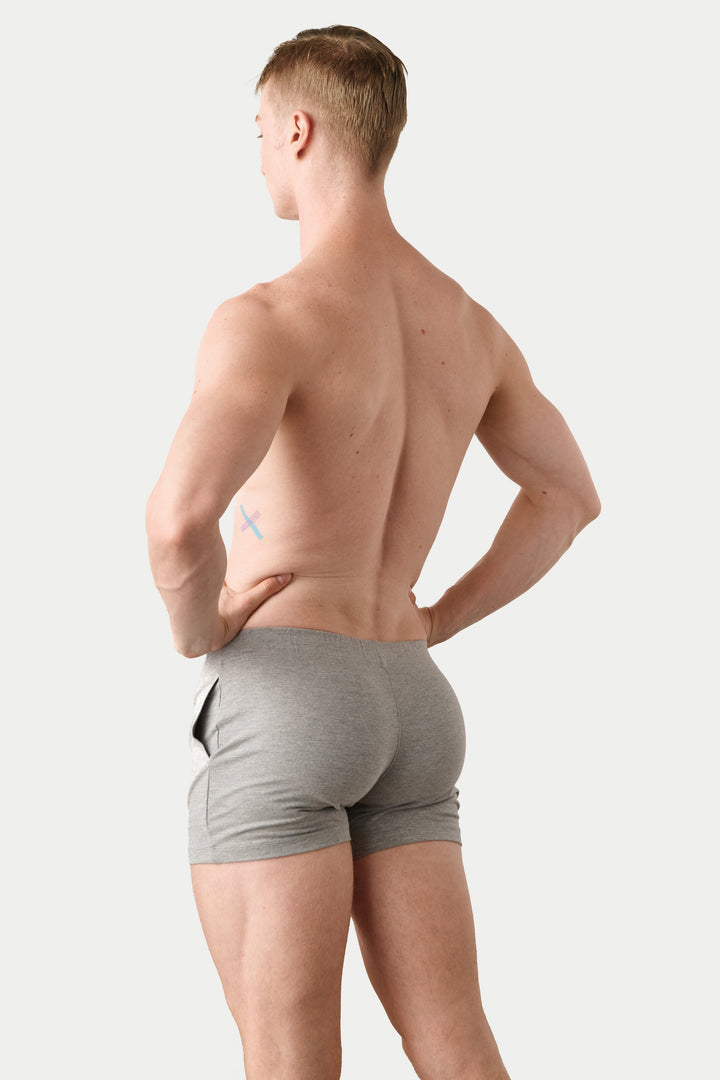 FLOW 4 Inch Shorts V2 - Light Heather Gray