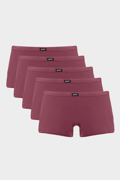 5 Pack POUCHLESS Trunks