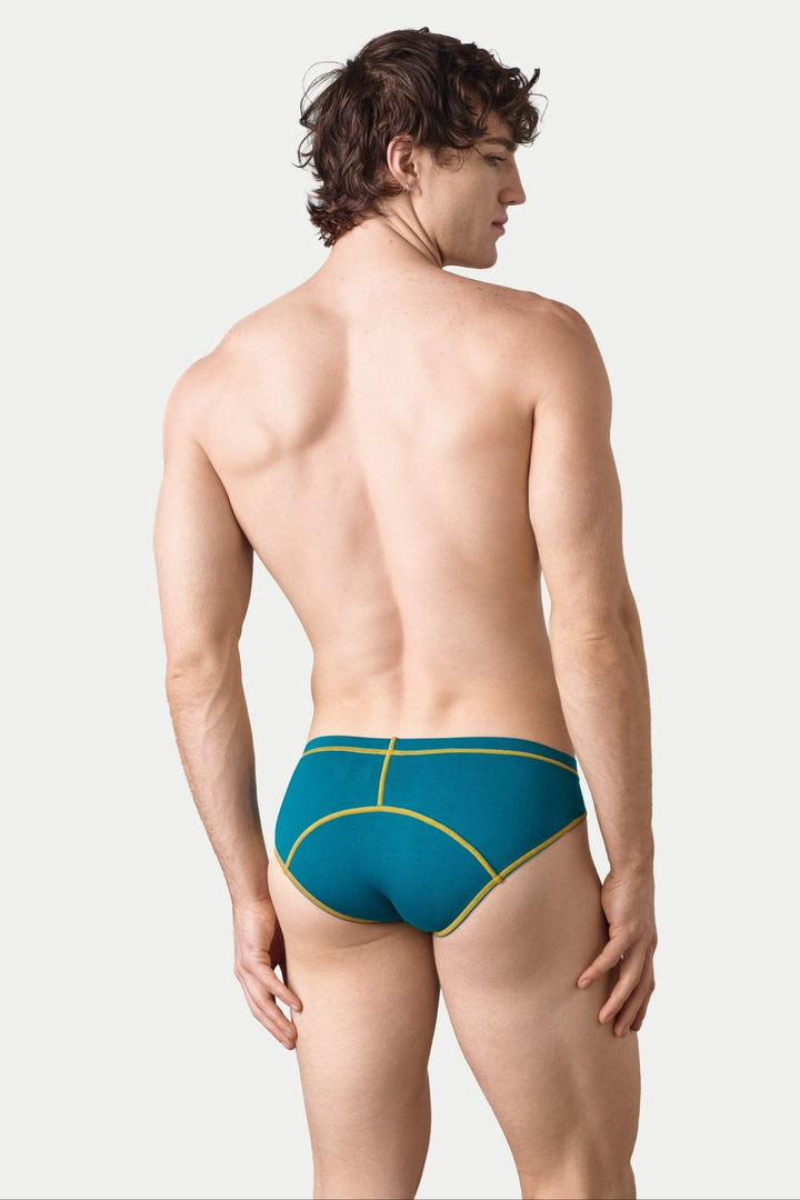 3 Pack ACCENT Briefs - AWRY