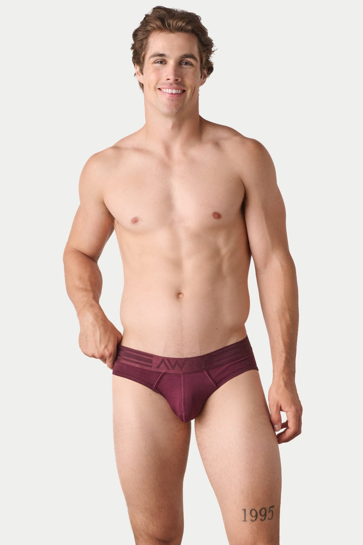 3 Pack AXIS Briefs - AWRY