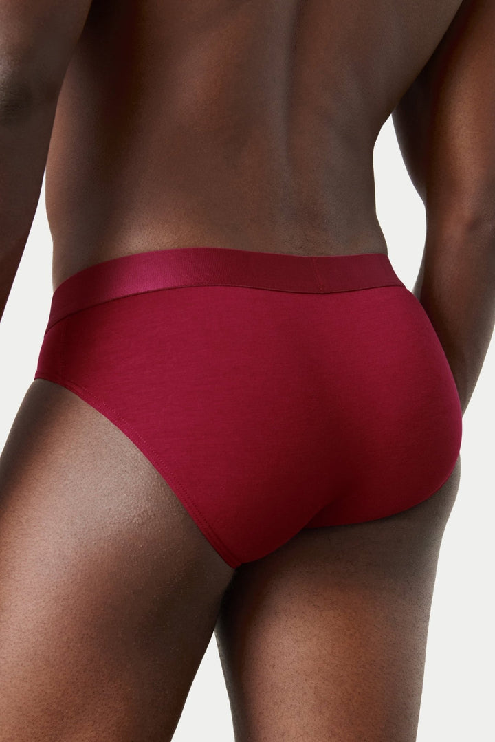 3 Pack ESSENTIAL Slip Briefs - AWRY