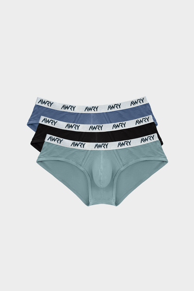 3 Pack SIGNATURE Briefs - AWRY