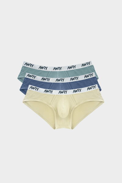 3 Pack SIGNATURE Briefs - AWRY