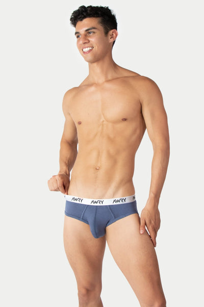 3 Pack SIGNATURE Briefs - AWRY