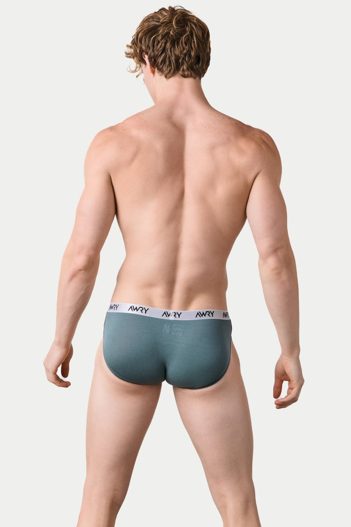 3 Pack SIGNATURE Slip Briefs - AWRY