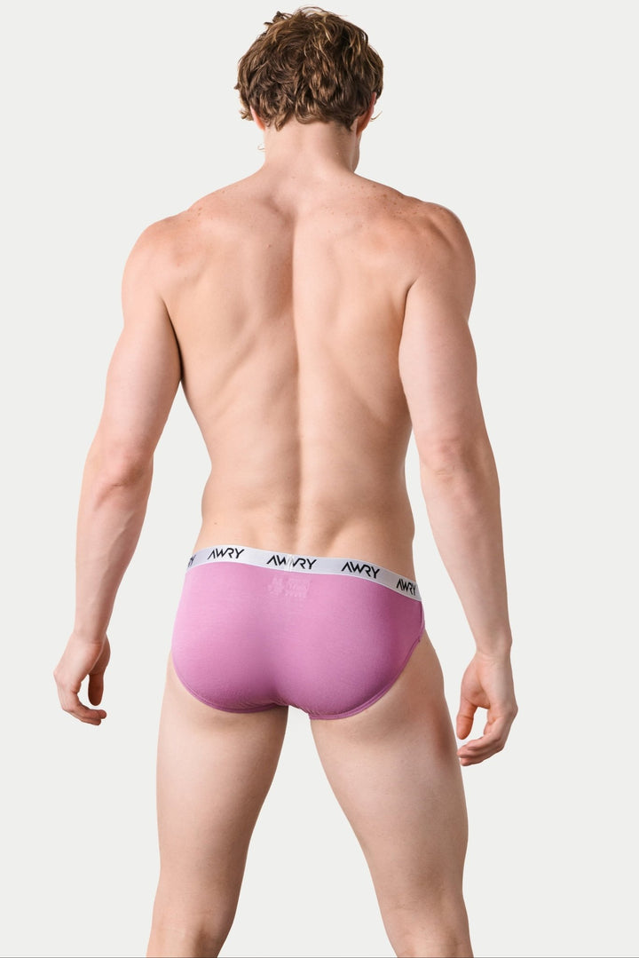 3 Pack SIGNATURE Slip Briefs - AWRY