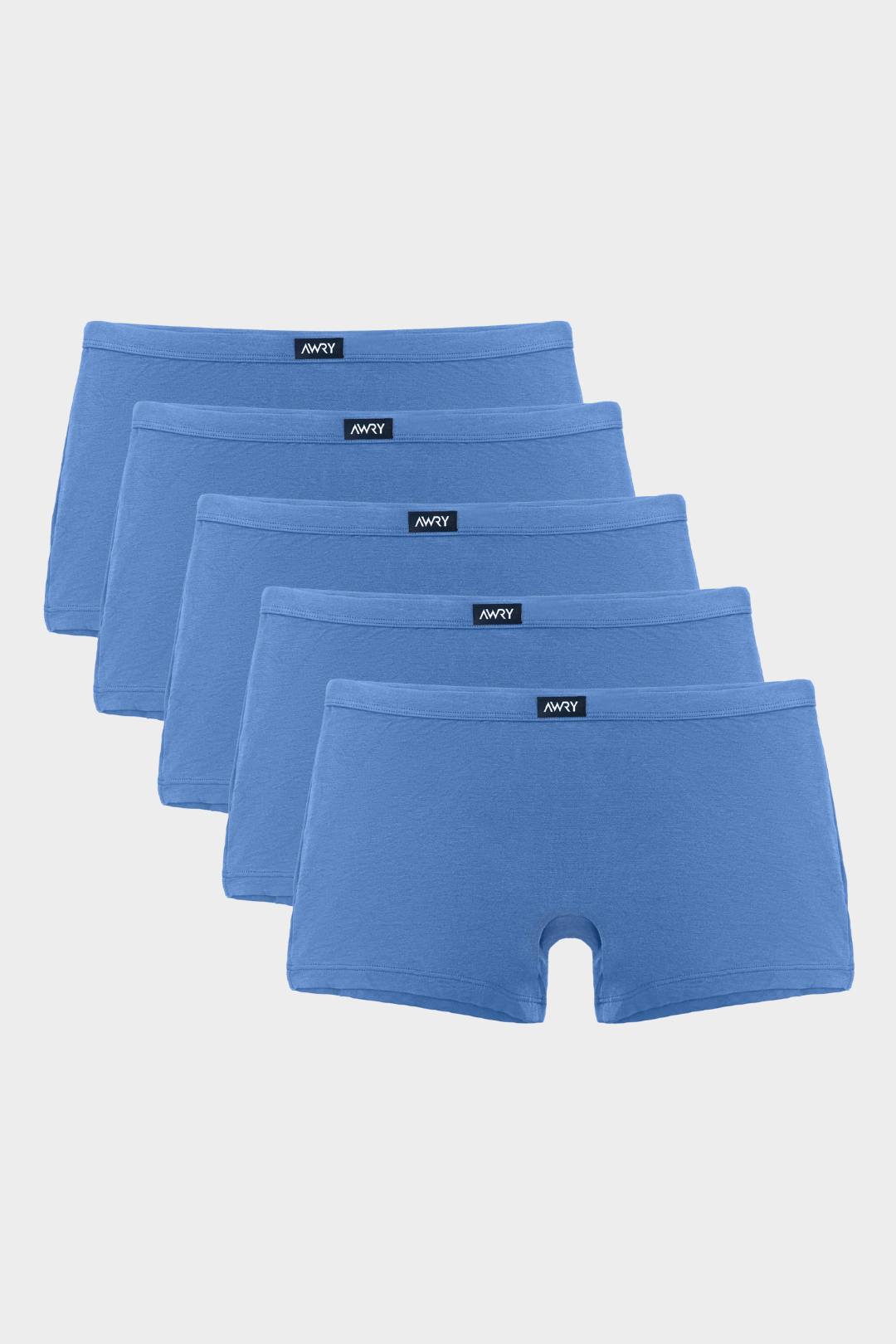 5 Pack POUCHLESS Trunks