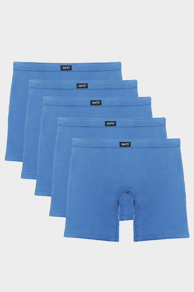 5 Pack POUCHLESS Boxer Briefs