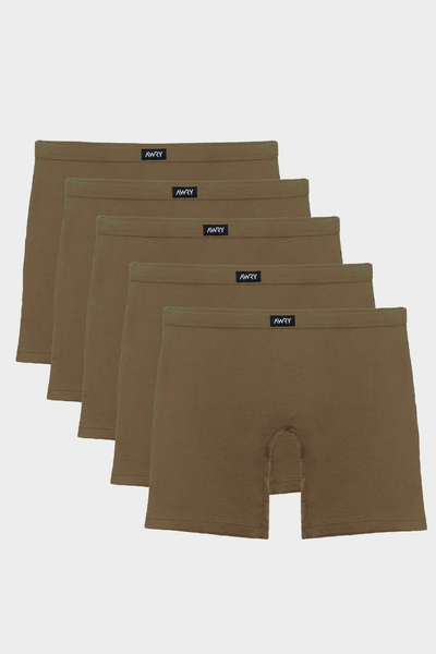 5 Pack POUCHLESS Boxer Briefs