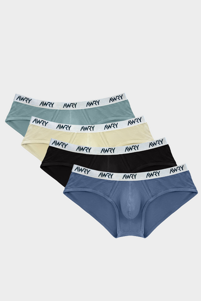 4 Pack SIGNATURE Briefs