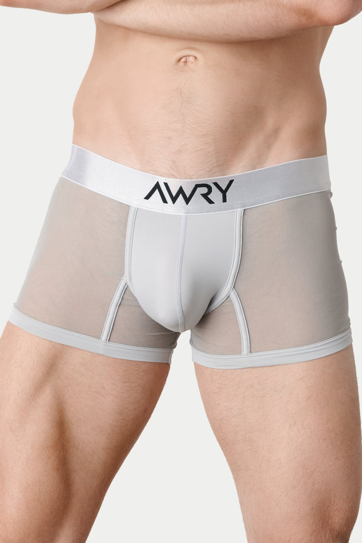REVEAL Thong Trunks V2 - Silver