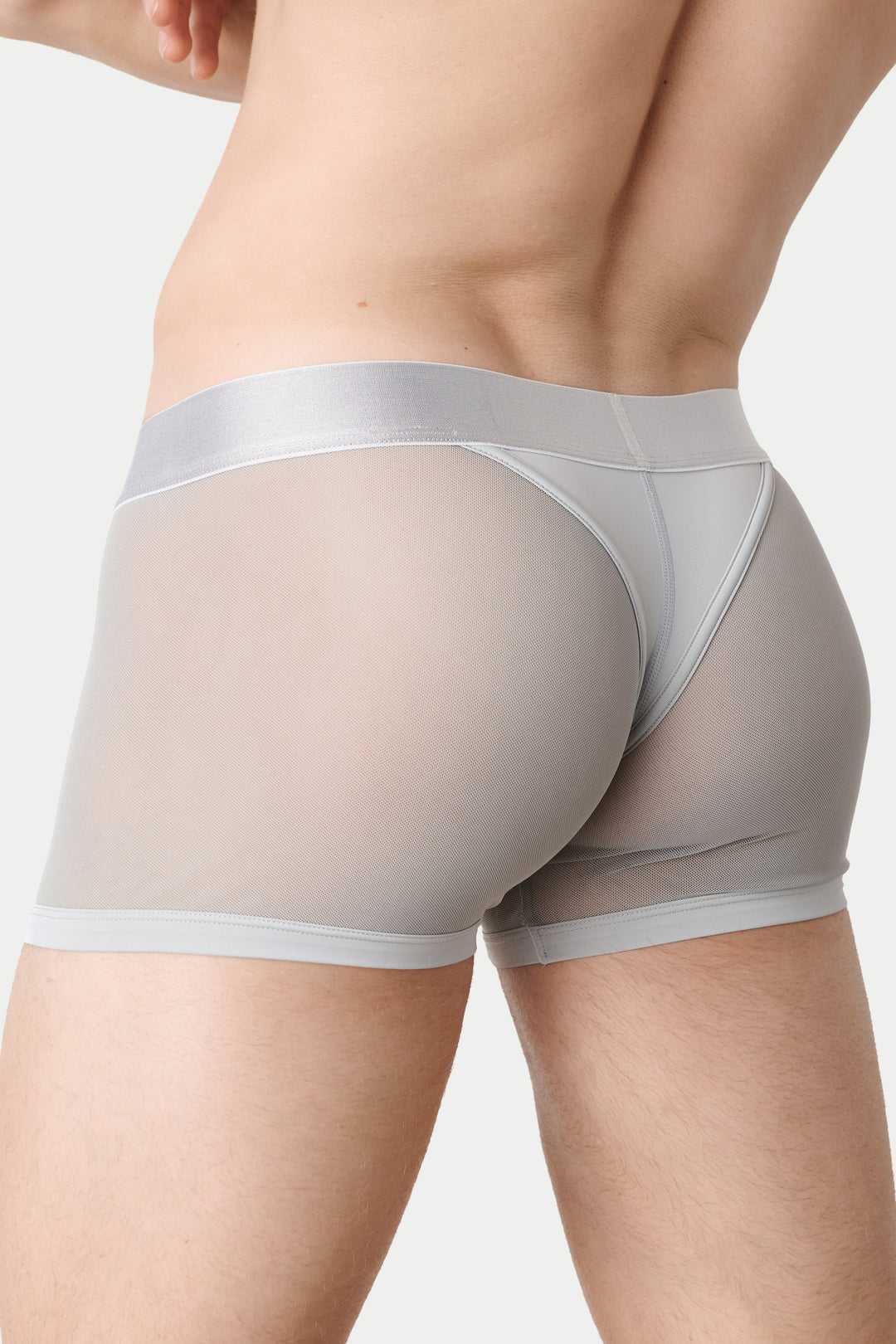 REVEAL Thong Trunks V2 - Silver