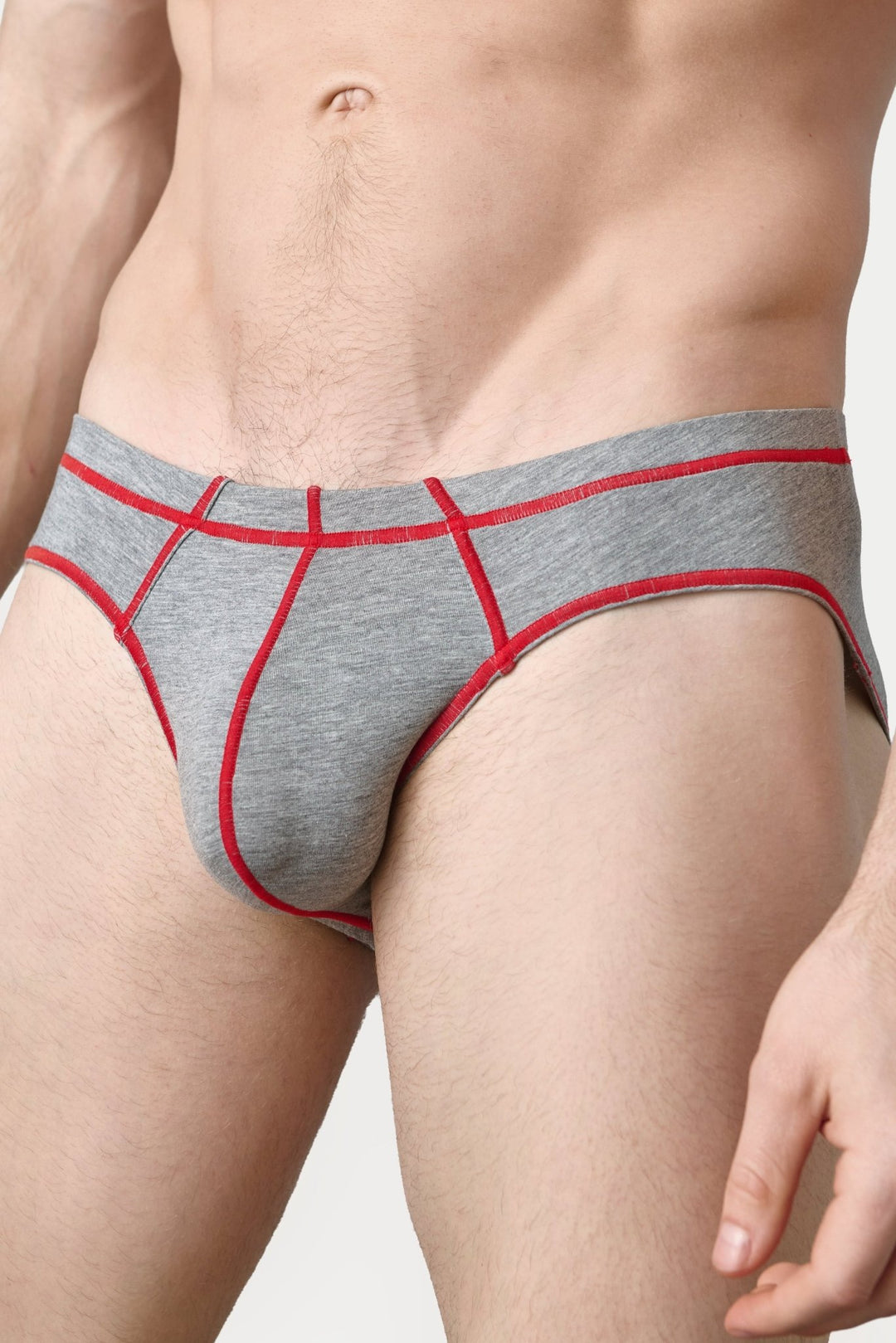 ACCENT Briefs - Heather Gray - AWRY