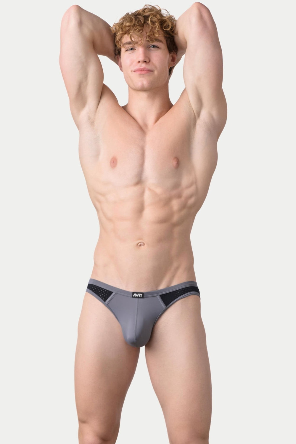 AERO Bikini Briefs - Gray - AWRY