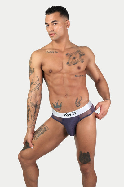 APOLLO Mesh Briefs - Smoke - AWRY