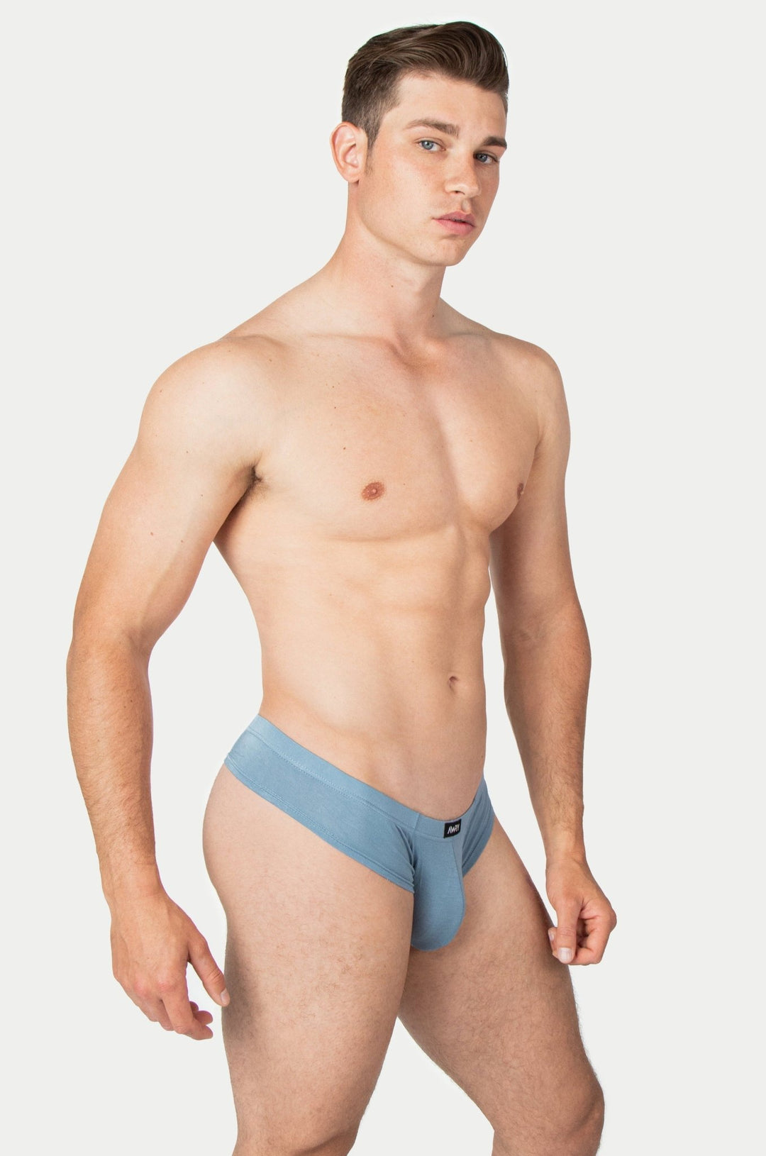CHEEKY Thong Briefs - Smoky Blue - AWRY