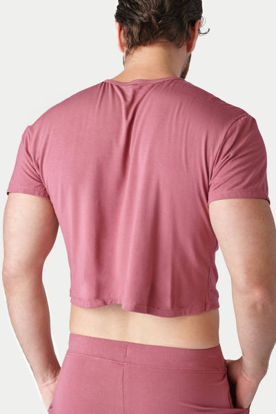 CLOUD Crop Tee - Blush Red - AWRY