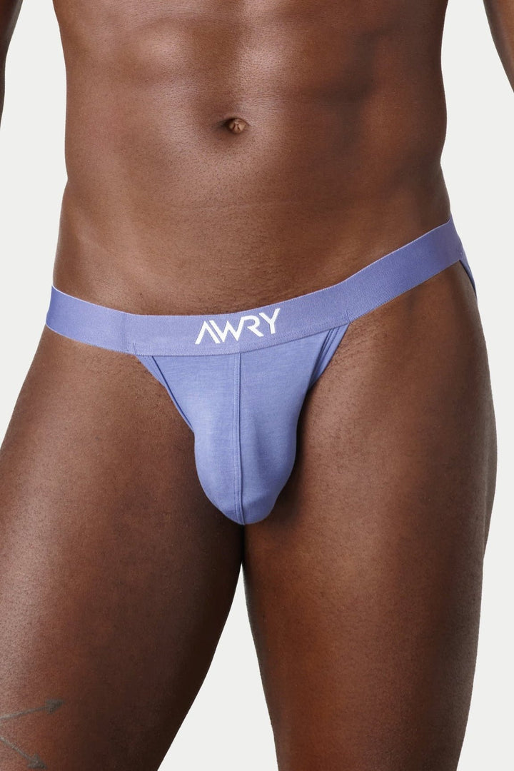 ESSENTIAL Tanga Briefs - Periwinkle - AWRY
