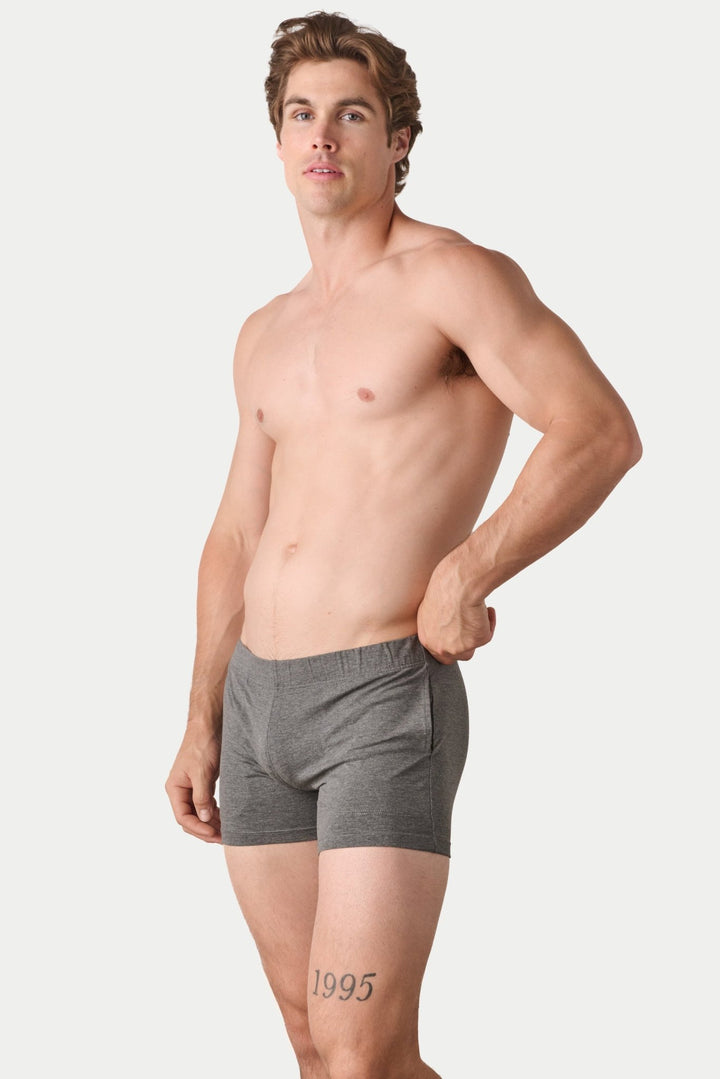 FLOW 4 Inch Shorts V2 - Heather Gray - AWRY