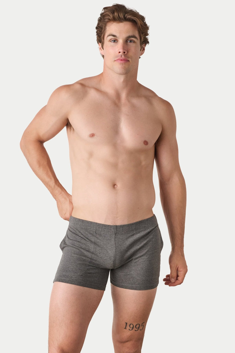 FLOW 4 Inch Shorts V2 - Heather Gray - AWRY