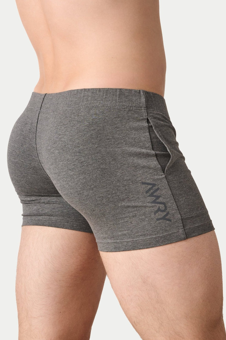 FLOW 4 Inch Shorts V2 - Heather Gray - AWRY