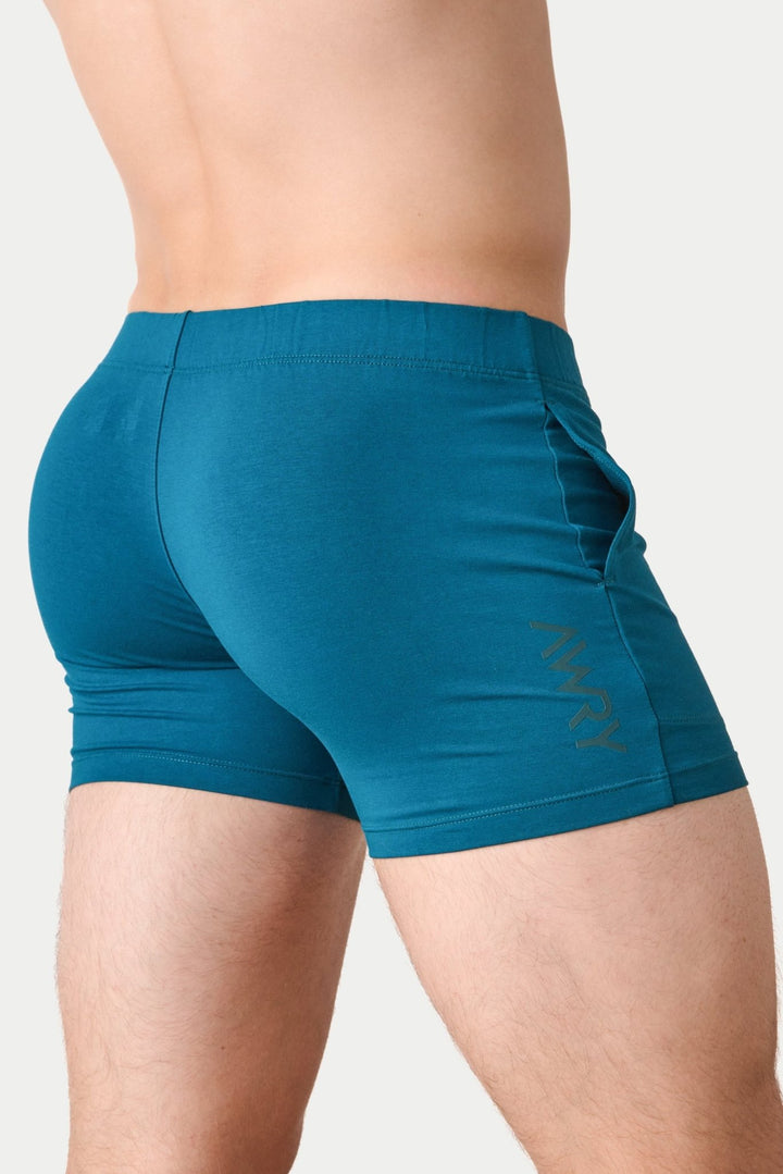 FLOW 4 Inch Shorts V2 - Teal - AWRY