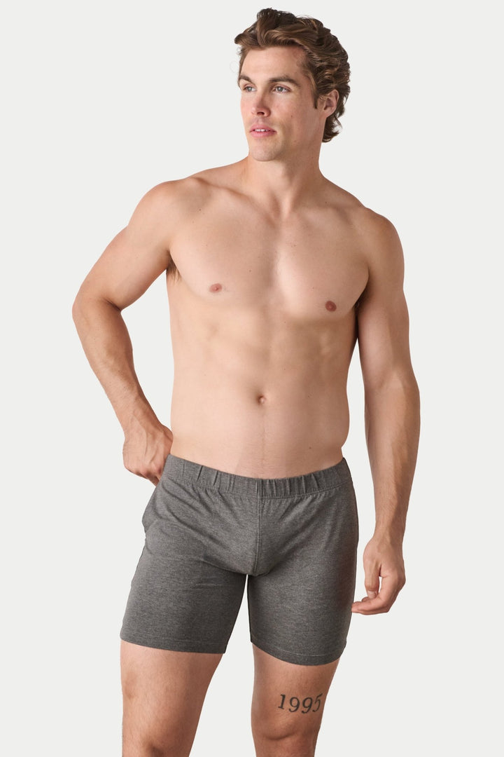 FLOW 6 Inch Shorts V2 - Heather Gray - AWRY