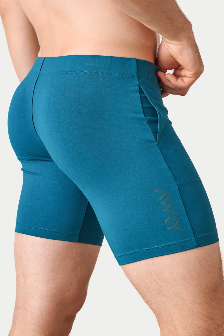 FLOW 6 Inch Shorts V2 - Teal - AWRY
