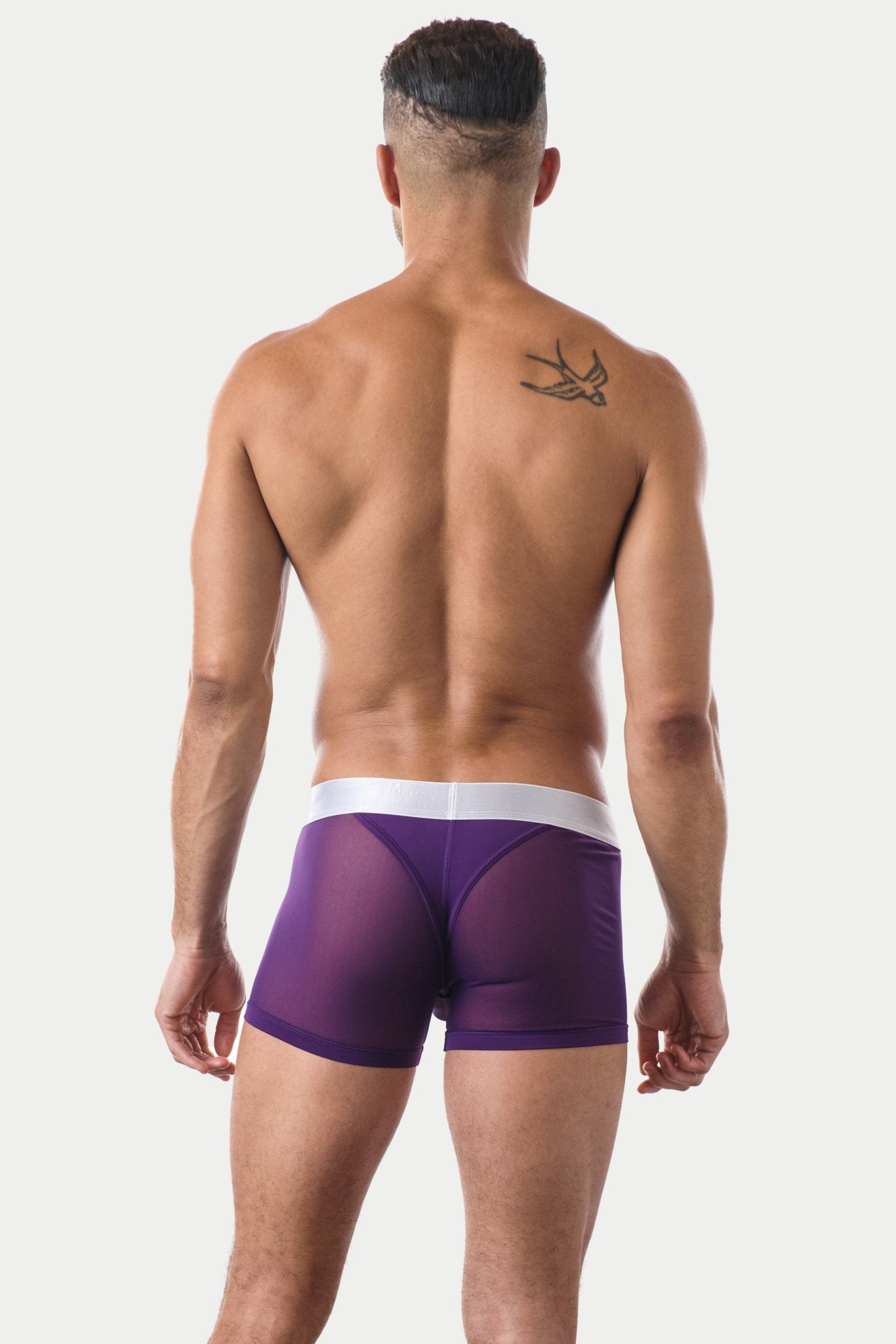 "Oops" REVEAL Thong Trunks - Purple - AWRY