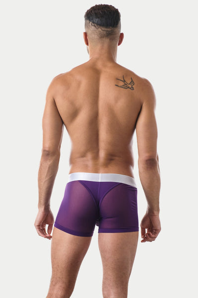 "Oops" REVEAL Thong Trunks - Purple - AWRY