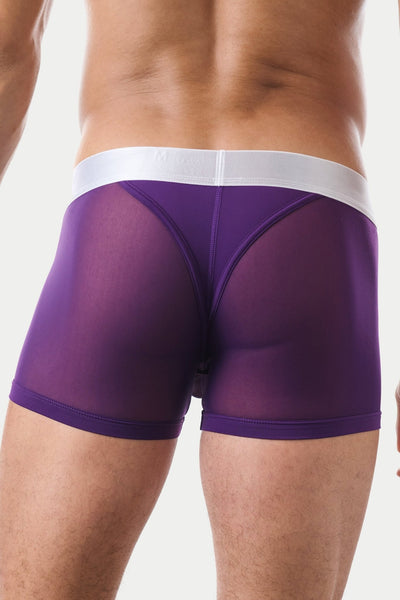 "Oops" REVEAL Thong Trunks - Purple - AWRY
