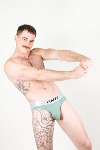 POCKET Briefs - Sage - AWRY