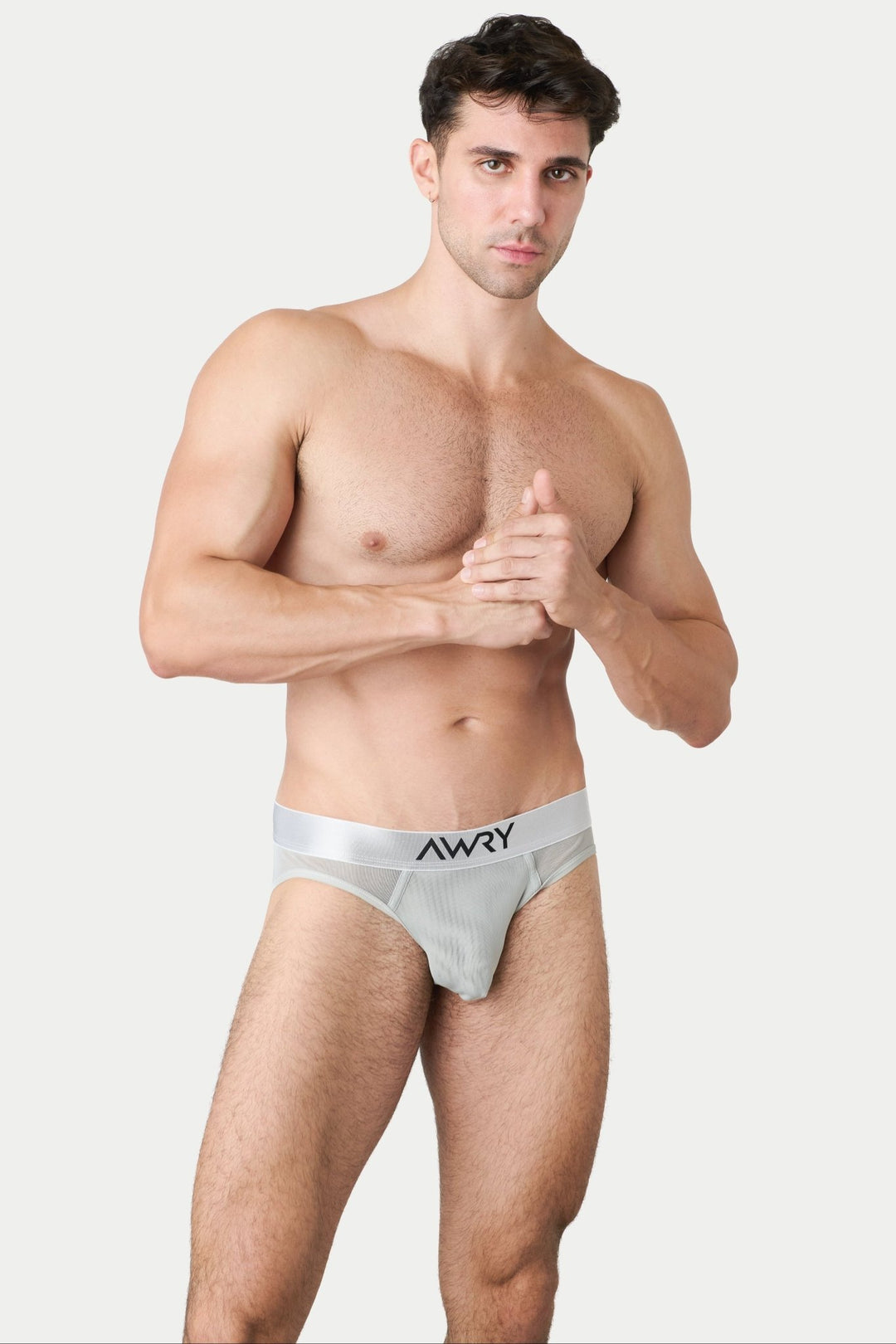 REVEAL Briefs - Silver - AWRY