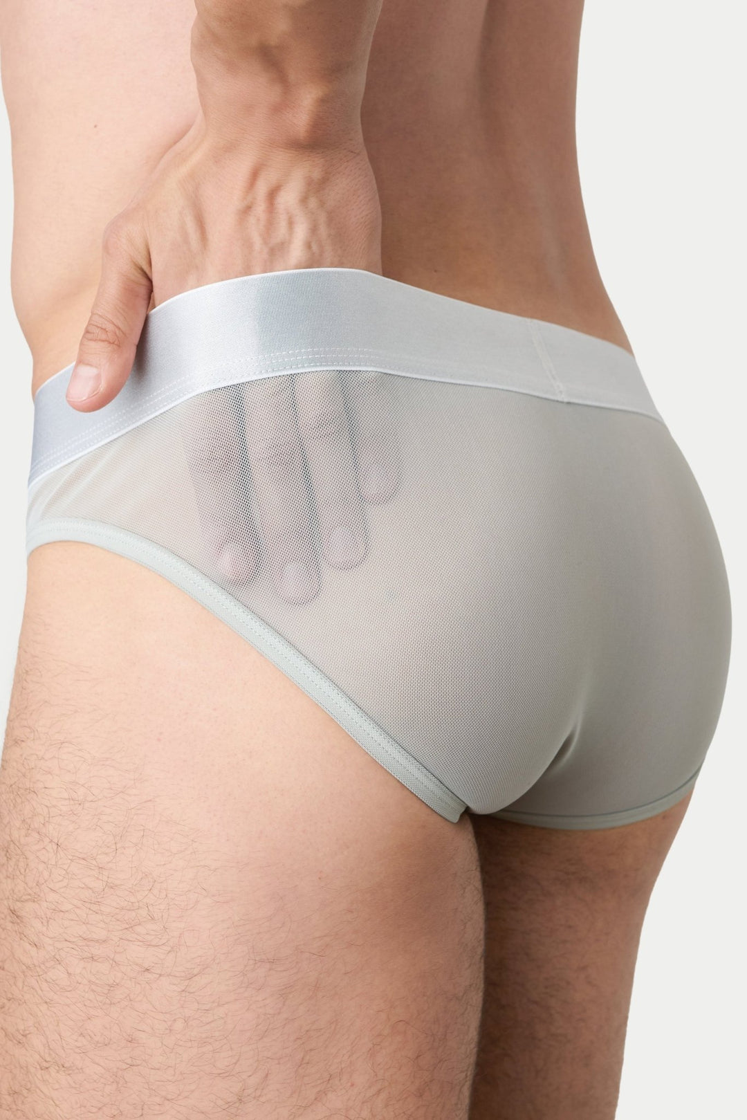 REVEAL Briefs - Silver - AWRY