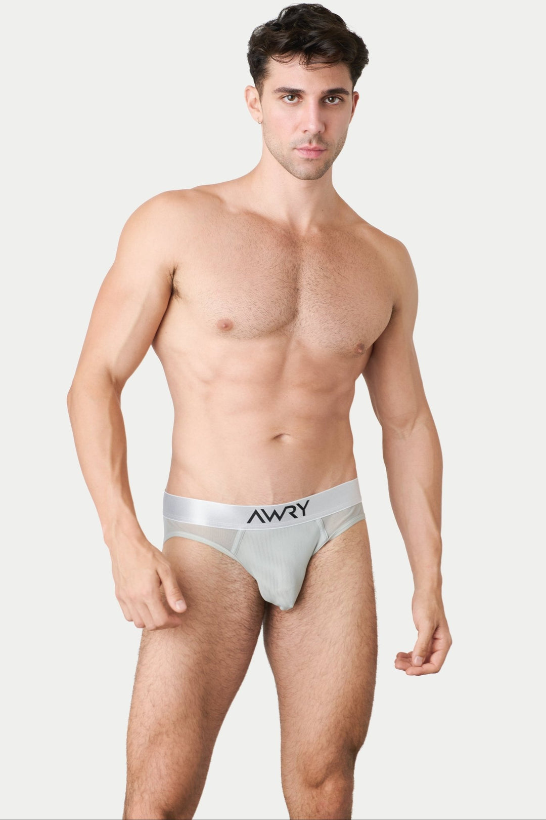 REVEAL Briefs - Silver - AWRY
