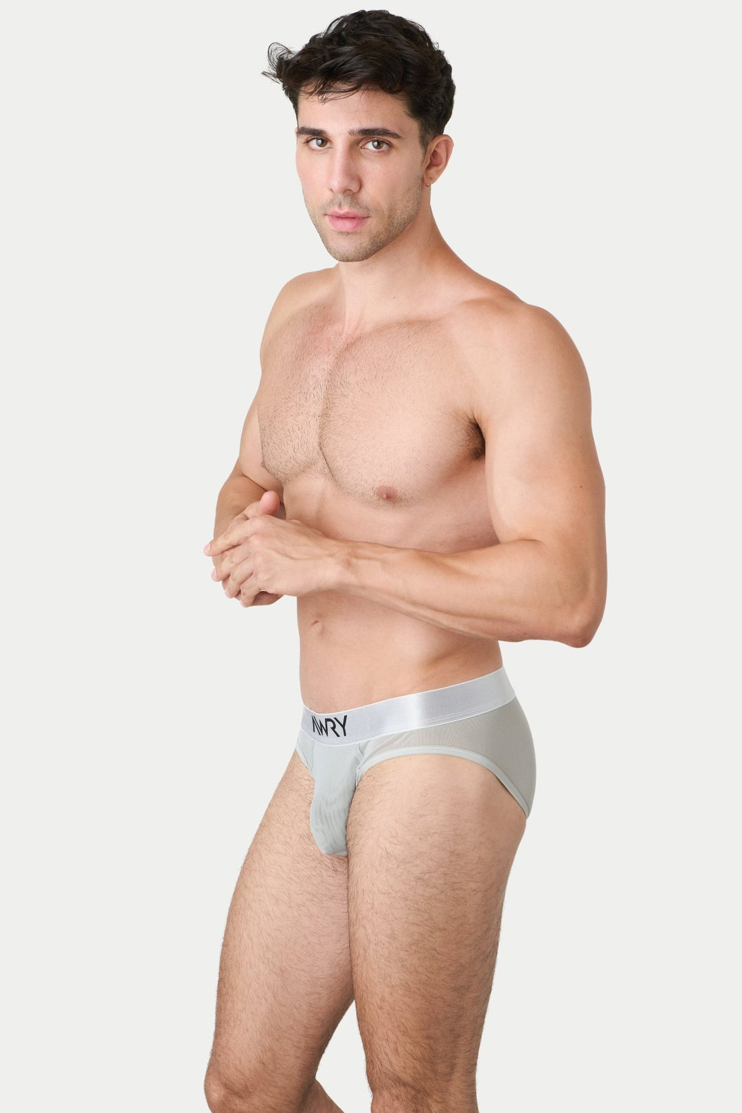 REVEAL Briefs - Silver - AWRY