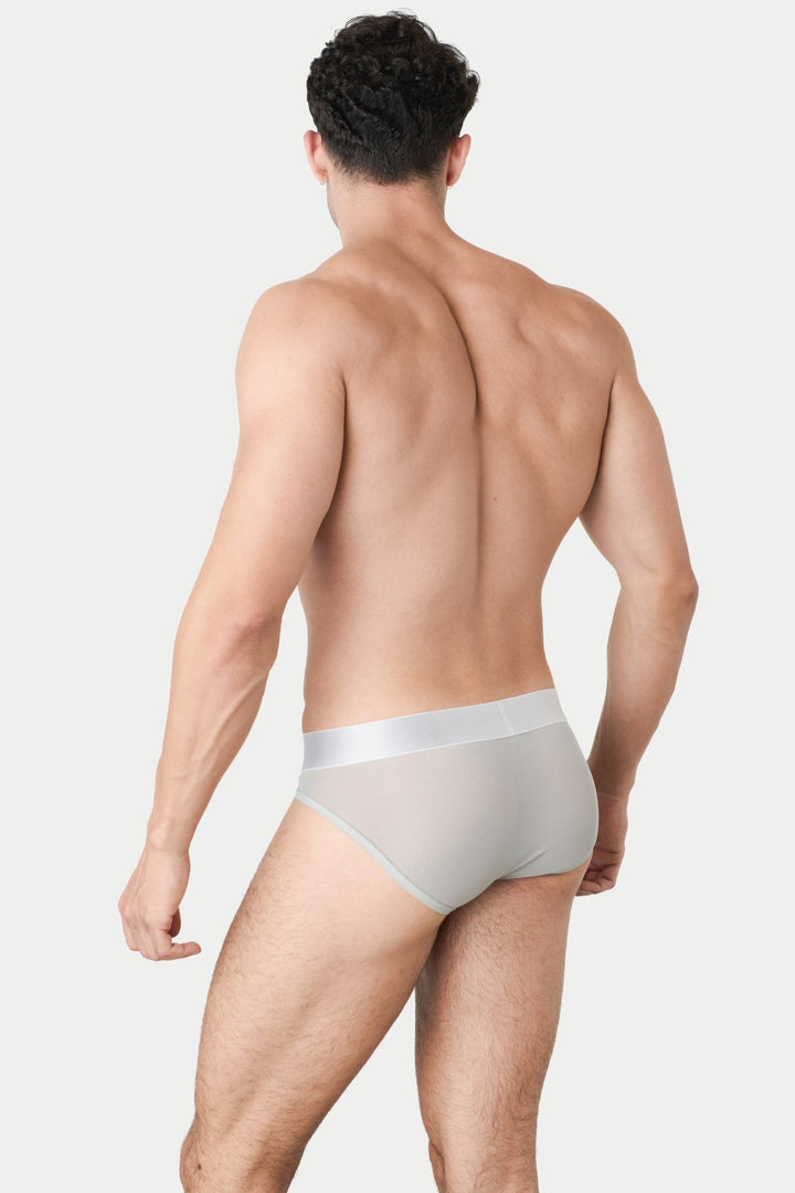 REVEAL Briefs - Silver - AWRY