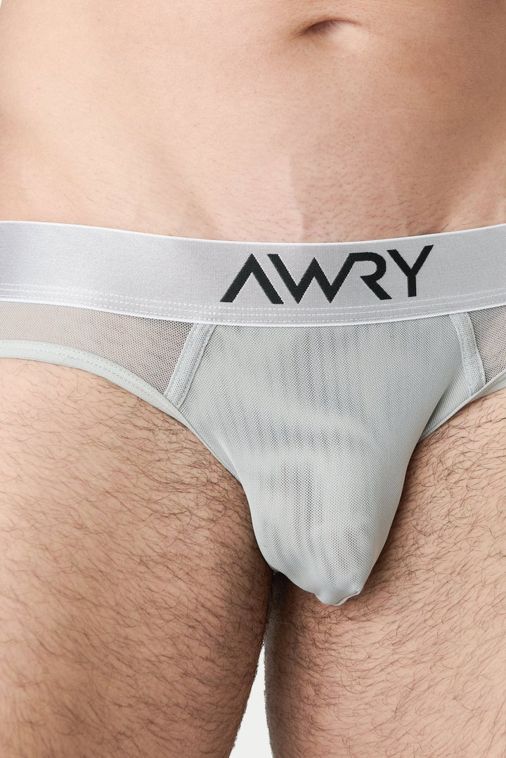 REVEAL Briefs - Silver - AWRY