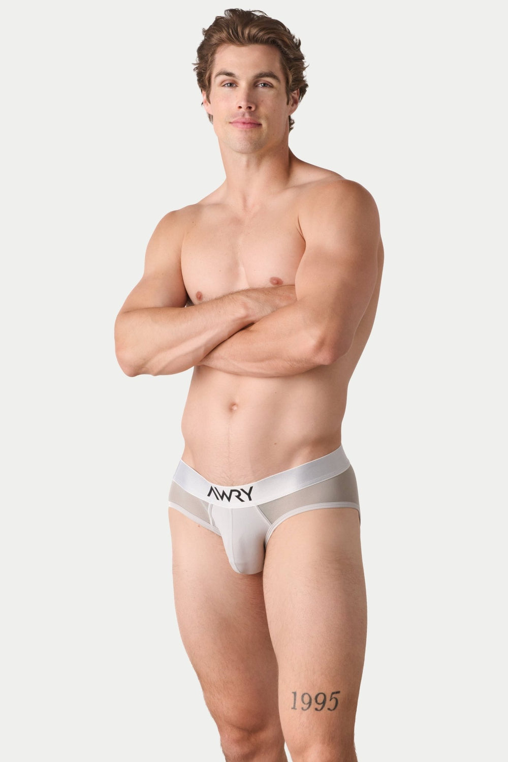 REVEAL Briefs V2 - Silver - AWRY