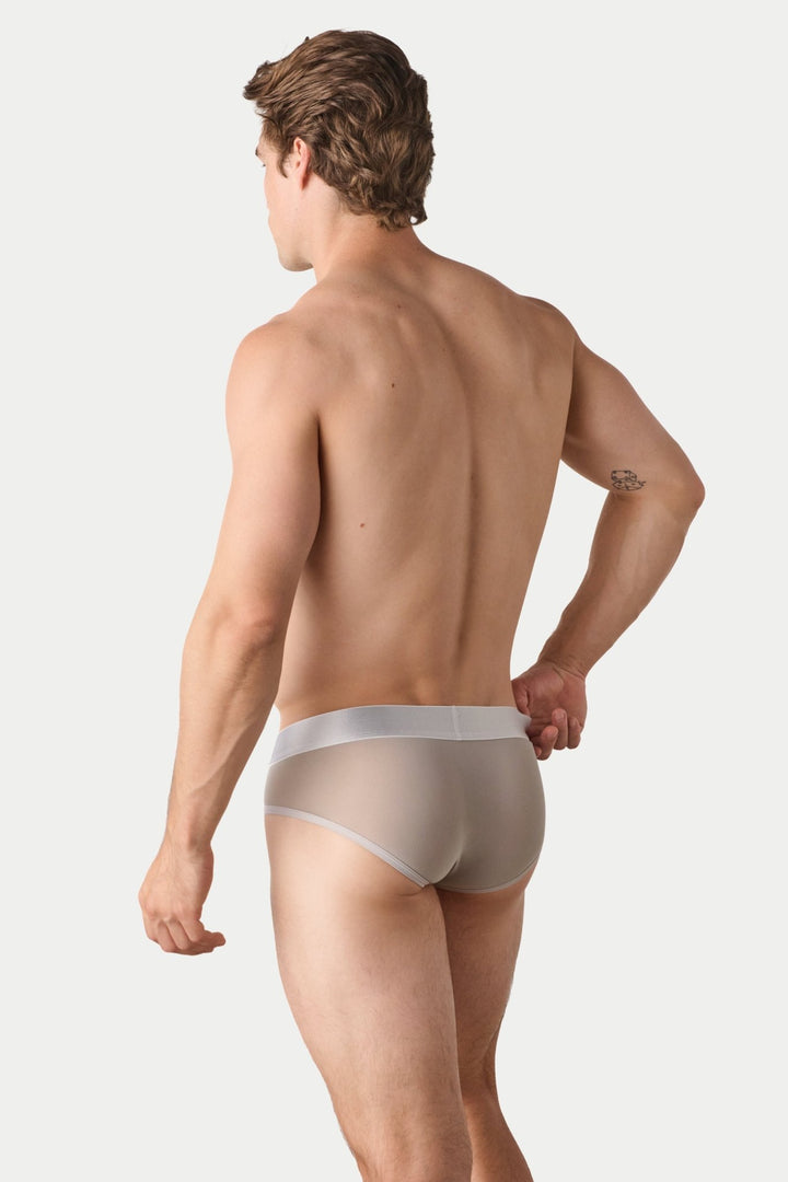 REVEAL Briefs V2 - Silver - AWRY