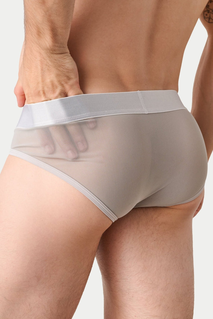 REVEAL Briefs V2 - Silver - AWRY