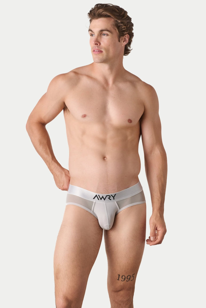REVEAL Briefs V2 - Silver - AWRY