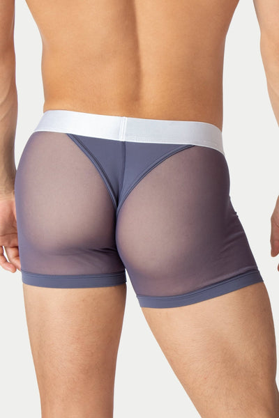 REVEAL Thong Trunks - Smoke - AWRY