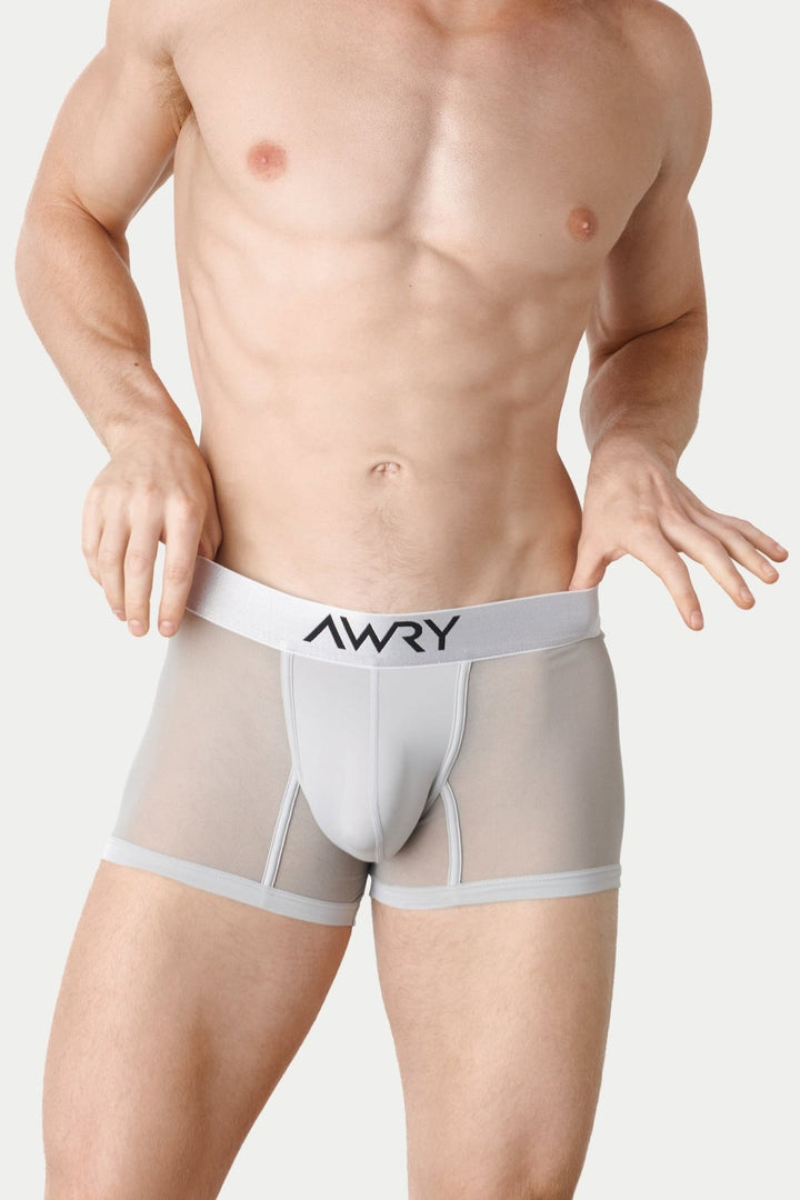 REVEAL Thong Trunks V2 - Silver - AWRY