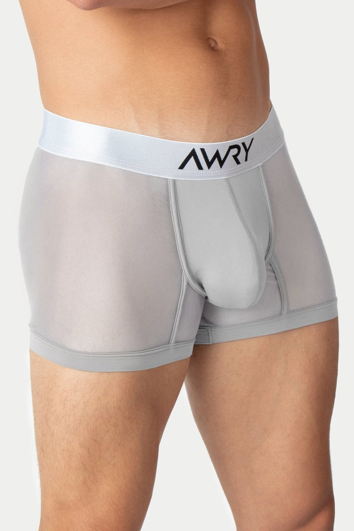 REVEAL Thong Trunks V2 - Silver - AWRY