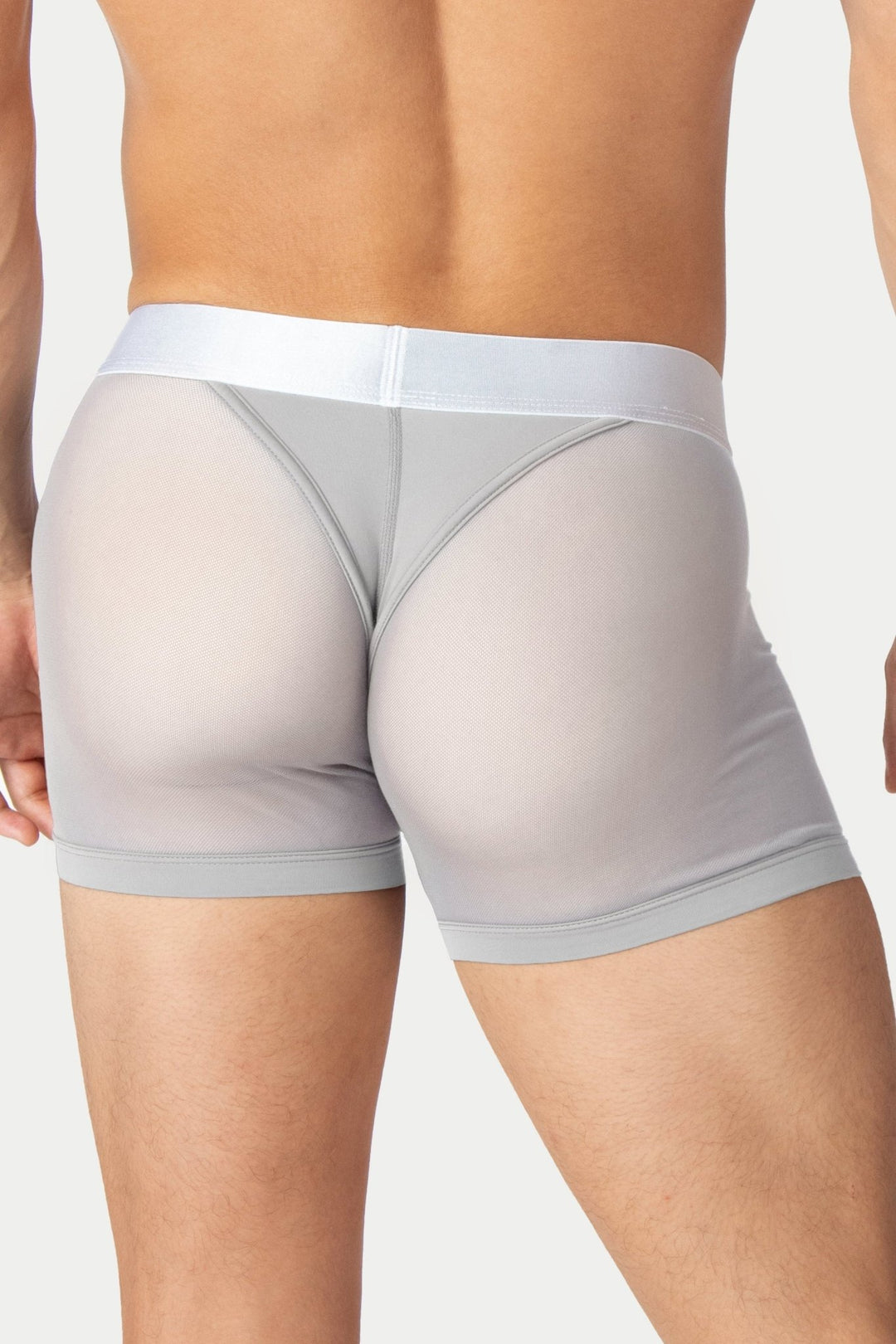 REVEAL Thong Trunks V2 - Silver - AWRY