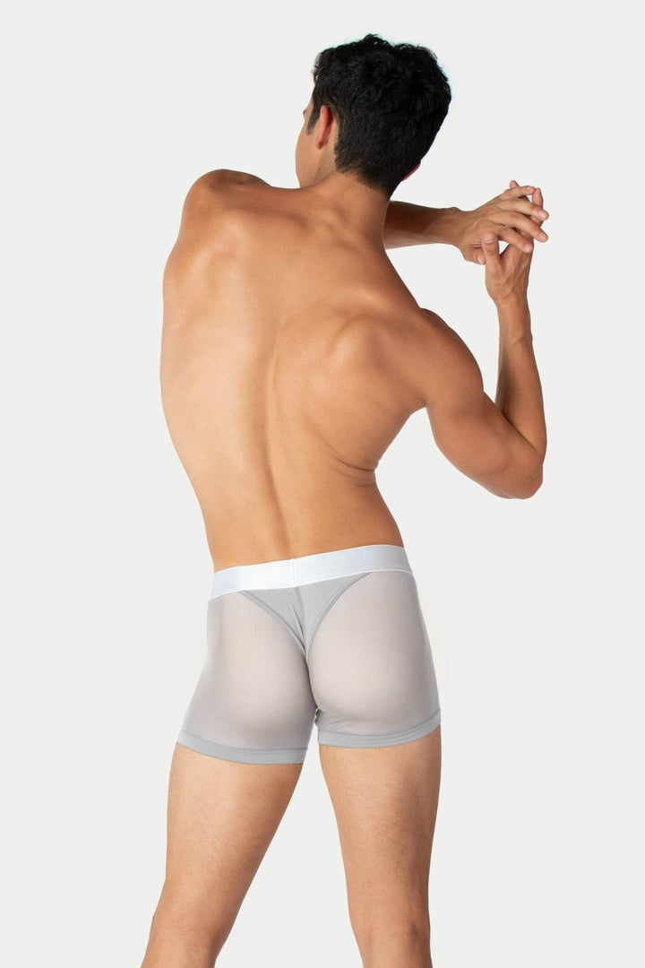 REVEAL Thong Trunks V2 - Silver - AWRY