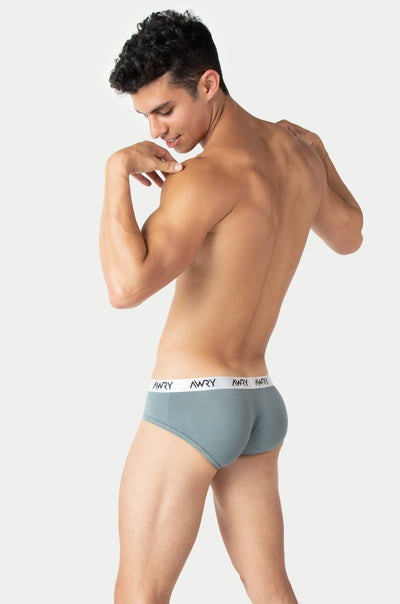 SIGNATURE Briefs - Sage - AWRY