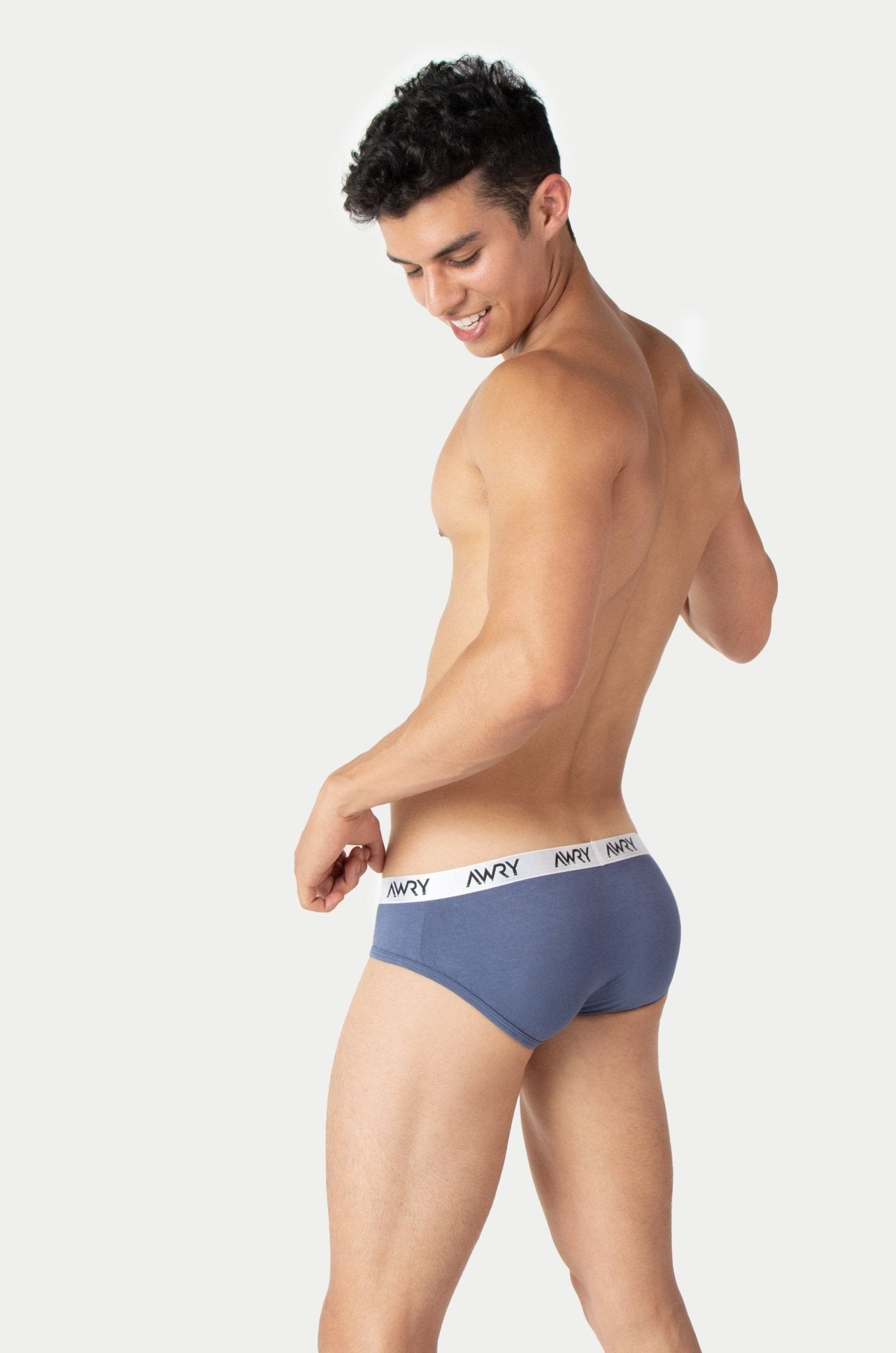 SIGNATURE Briefs - Stone Blue - AWRY